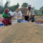 ९ महिनामा देशभरका १ लाख १५ हजार किसान मात्रै सुचीकृत