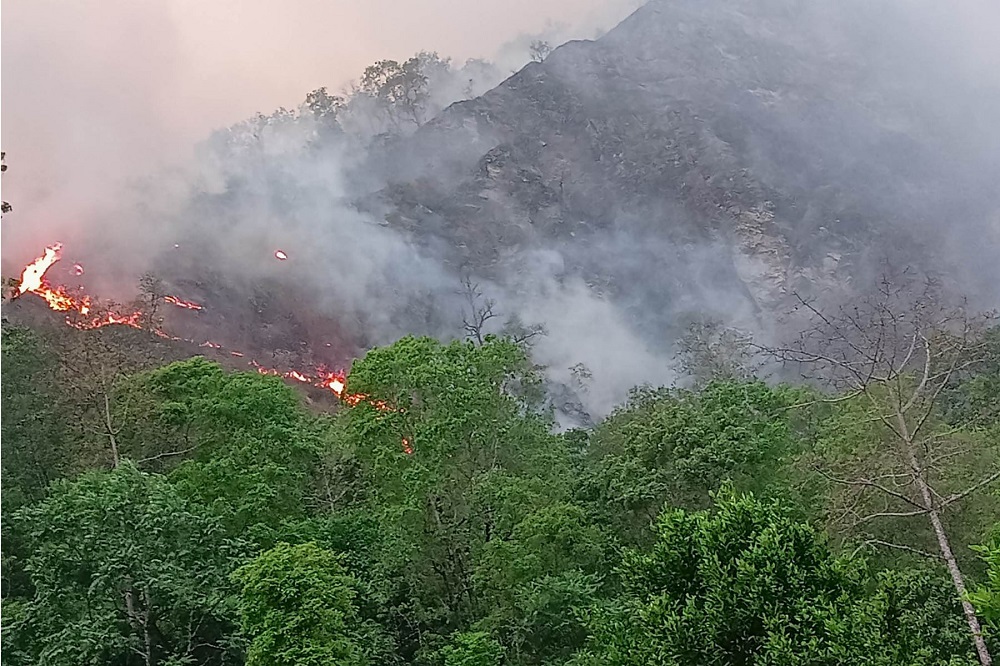 म्याग्दीमा  आगलागीबाट ७० हेक्टर वन क्षेत्र क्षति