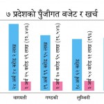 ६ महिना बित्दा पनि प्रदेशको औसत खर्च १५ प्रतिशत पुगेन