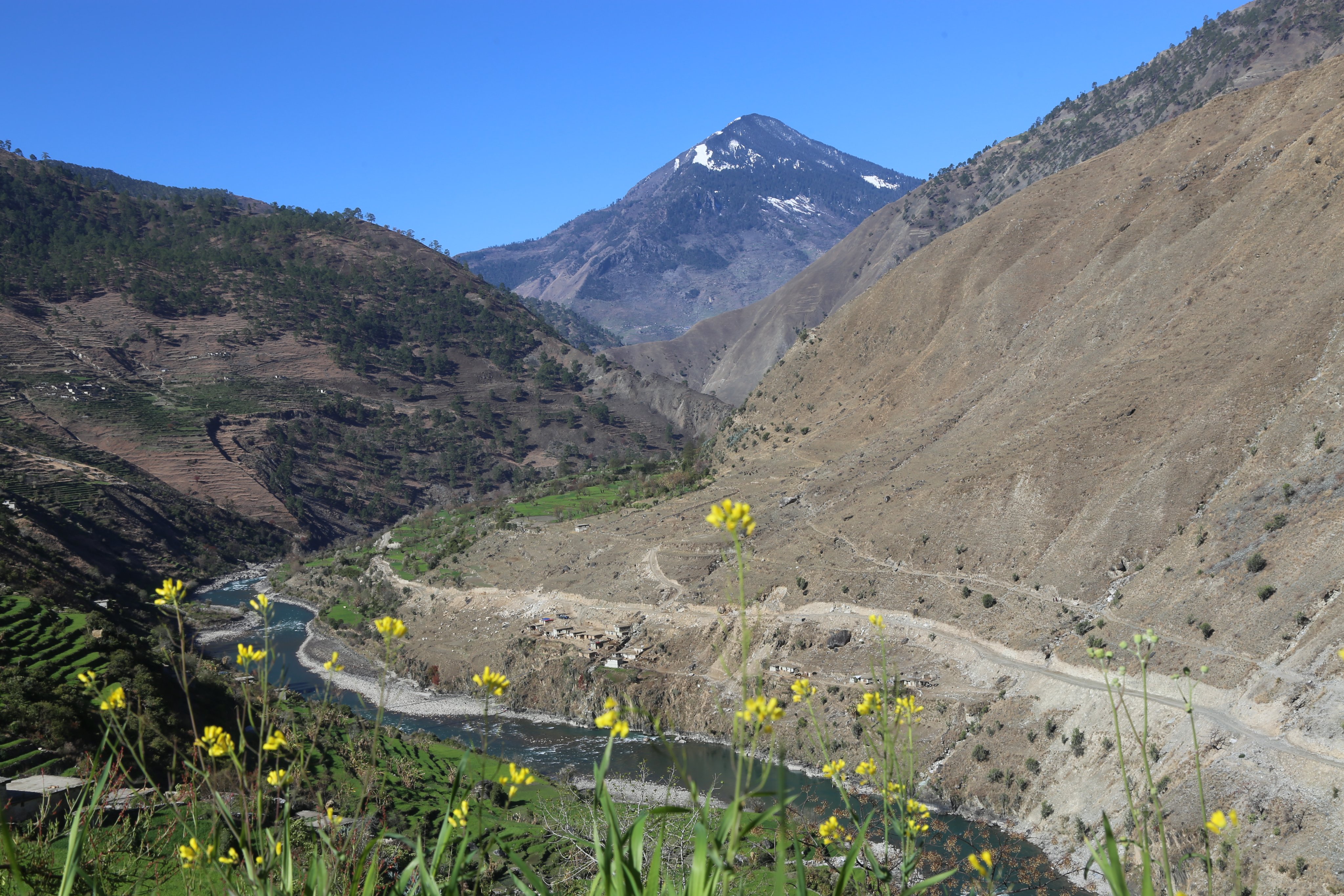  तुम्चमा पहिलो पटक च्याउ खेती 